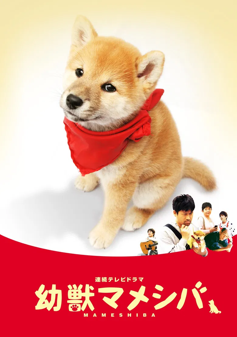 幼獣マメシバ poster background