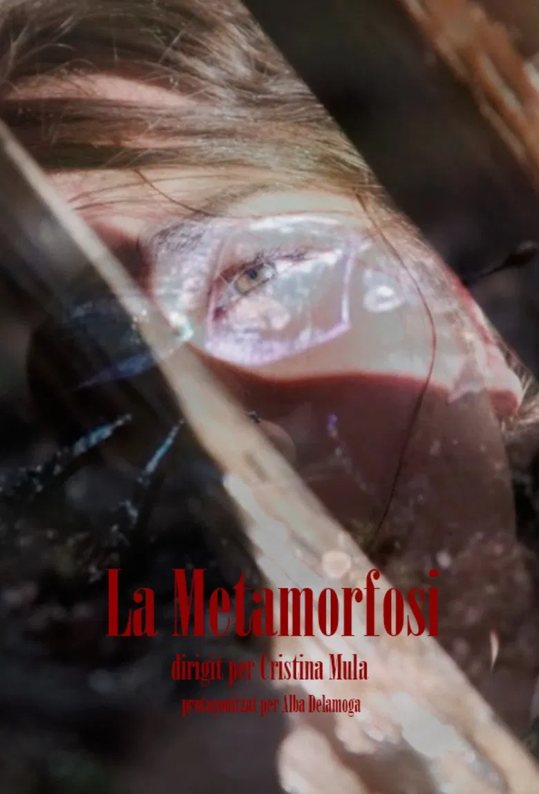 La Metamorfosi poster background