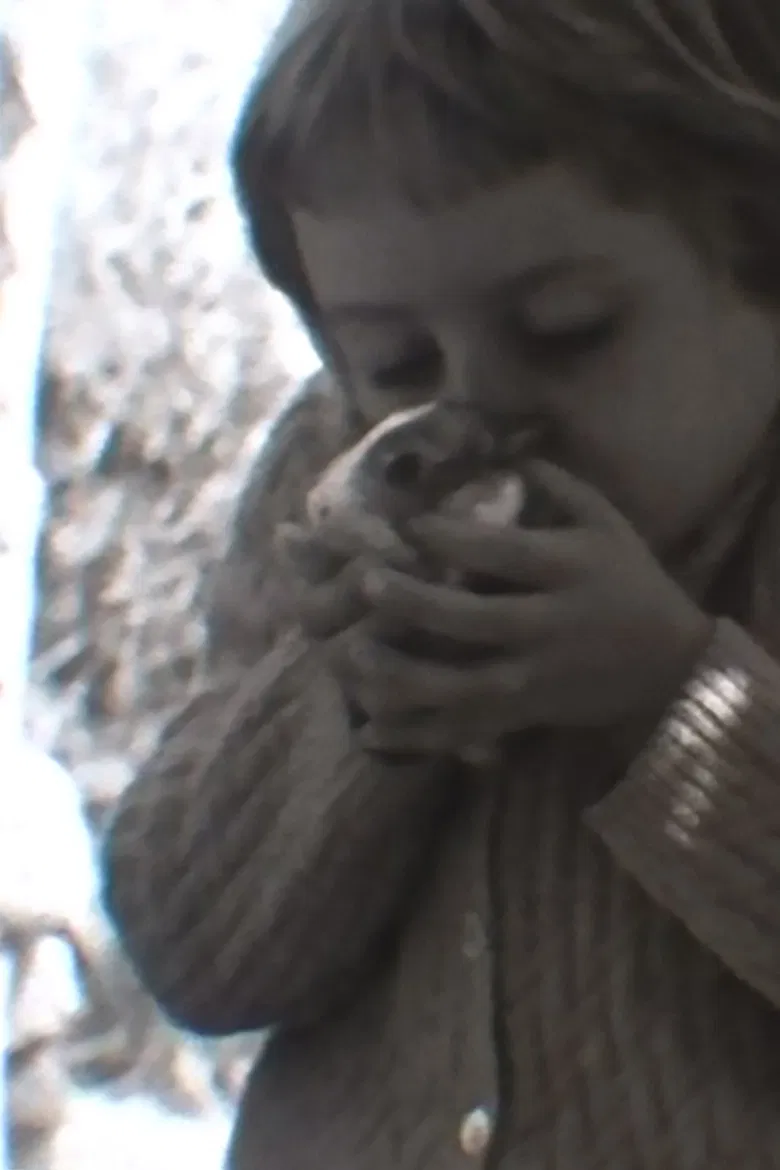 Coniglio, Leoni & circostanze varie poster background