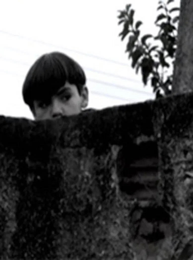 O Muro poster background