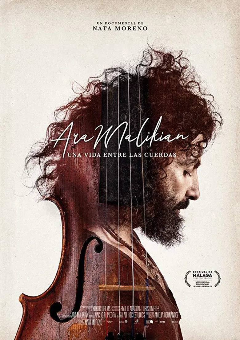 Ara Malikian: una vida entre las cuerdas poster background