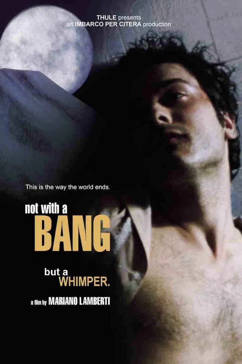 Not with a Bang poster background
