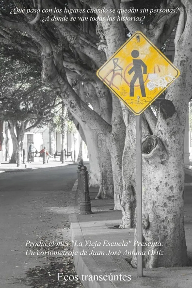 Ecos transeuntes poster background