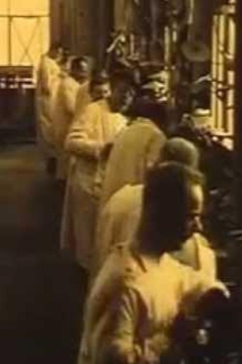 Van Boom tot Meubel poster background