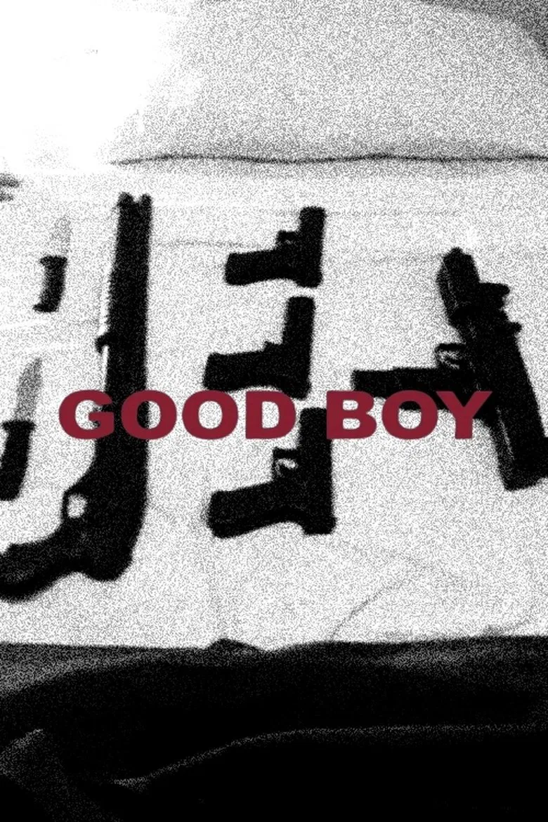 Good Boy poster background