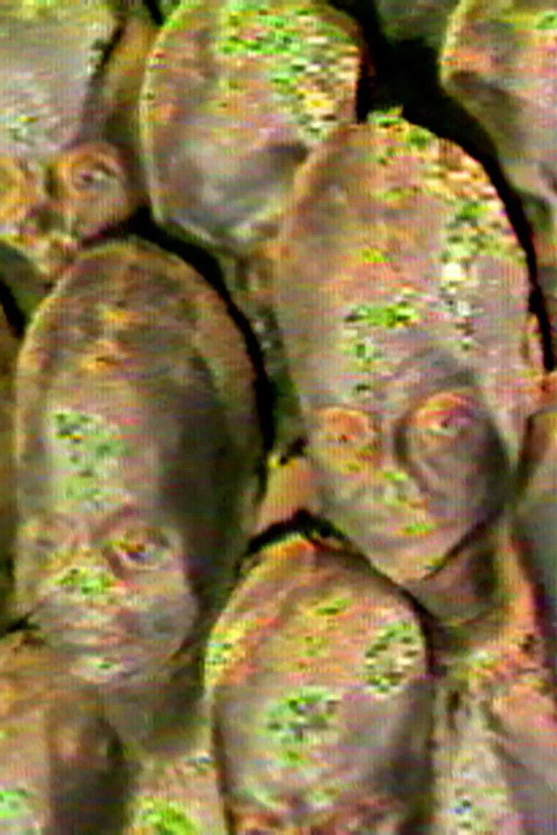 Progeny poster background