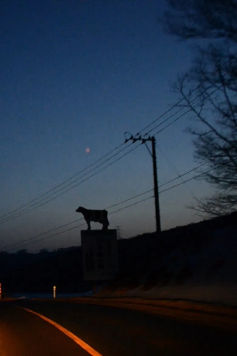 Roadside Picnic poster background