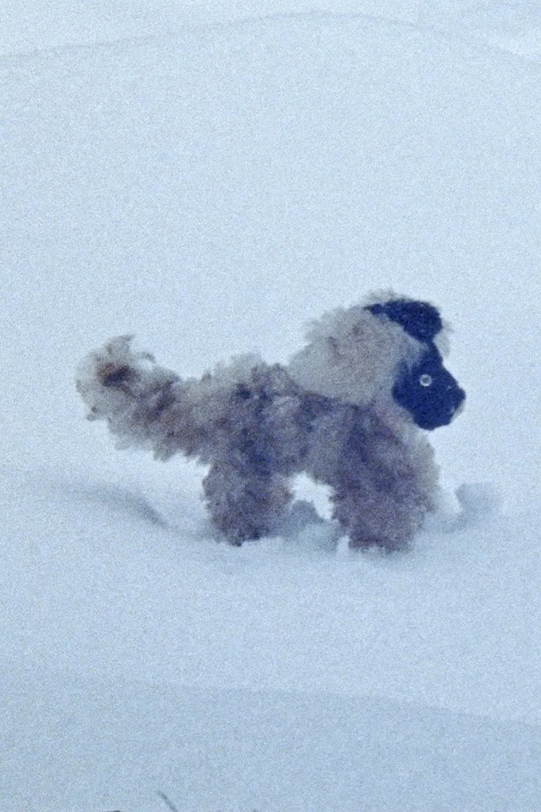 February Answers poster background