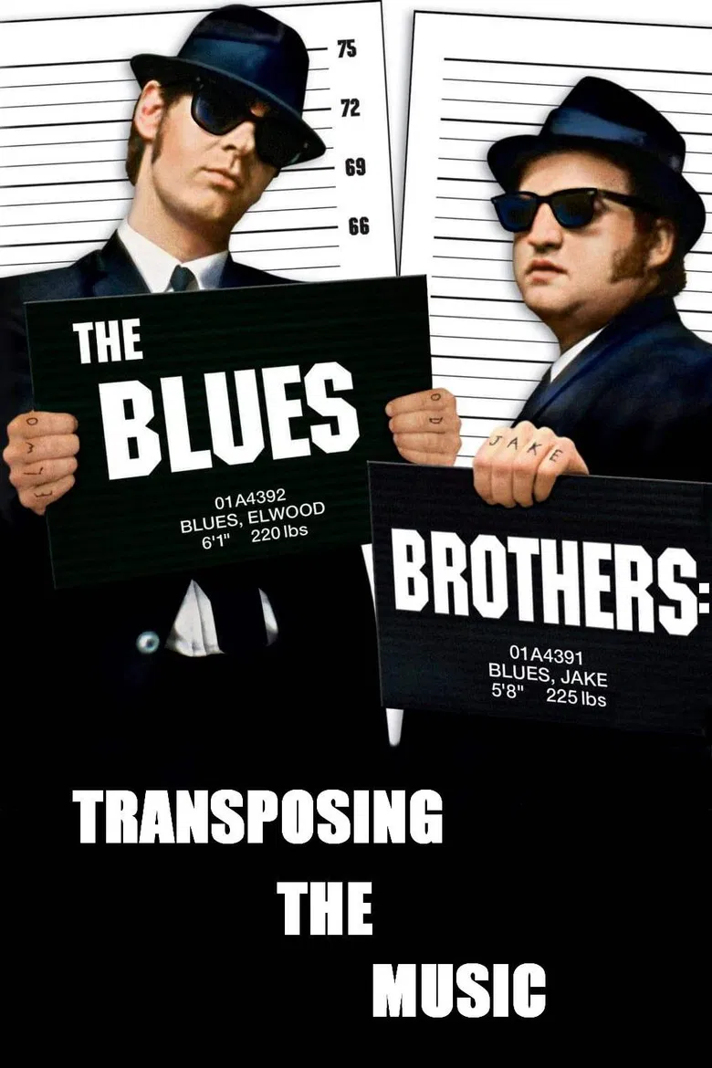 The Blues Brothers: Transposing The Music poster background