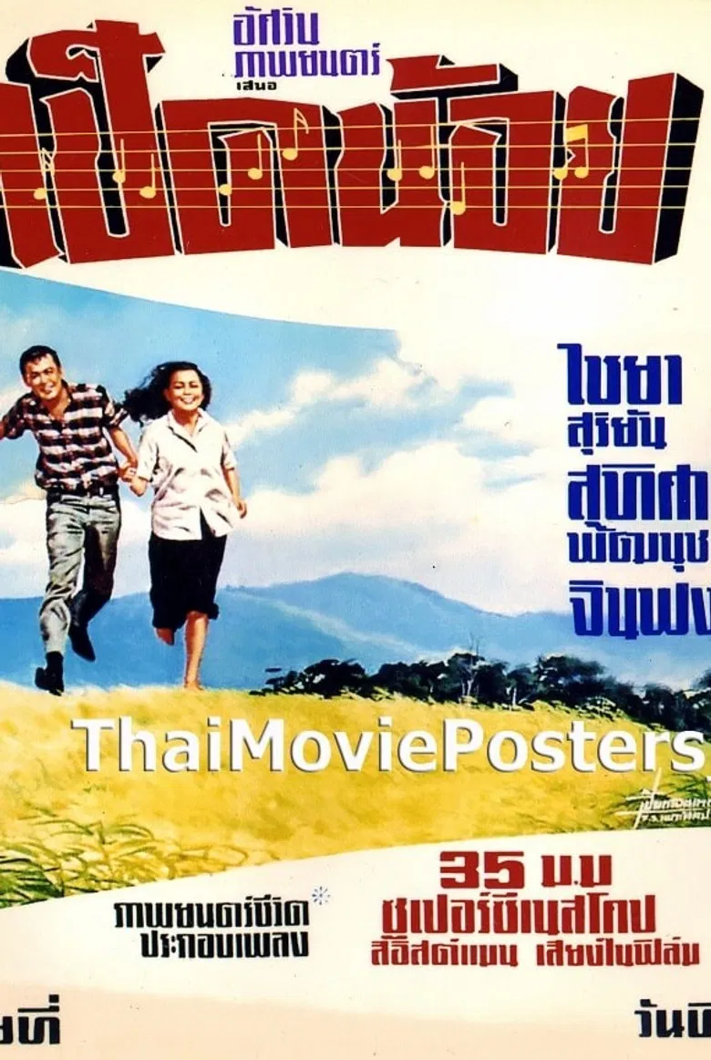 เป็ดน้อย poster background