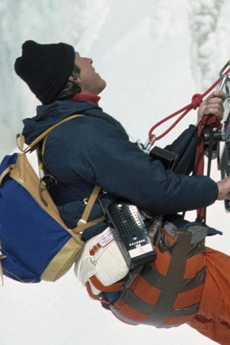 Ice Birds poster background