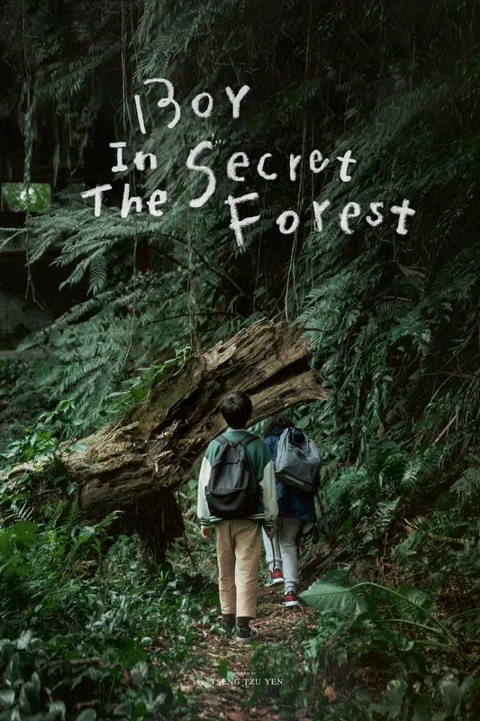 Boy in the Secret Forest poster background