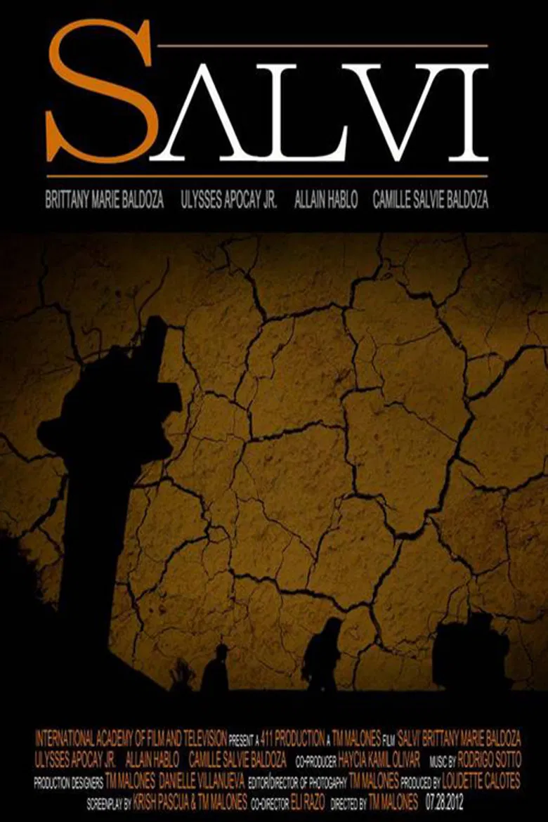Salvi poster background