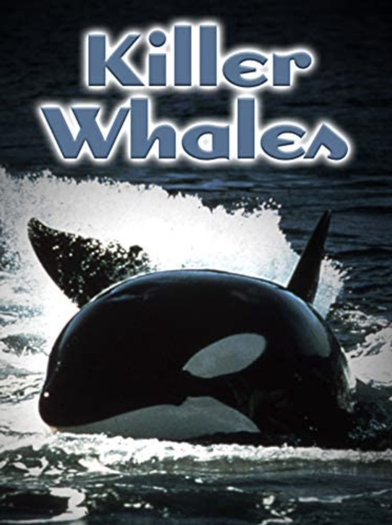 Killer Whales: Up Close and Personal poster background