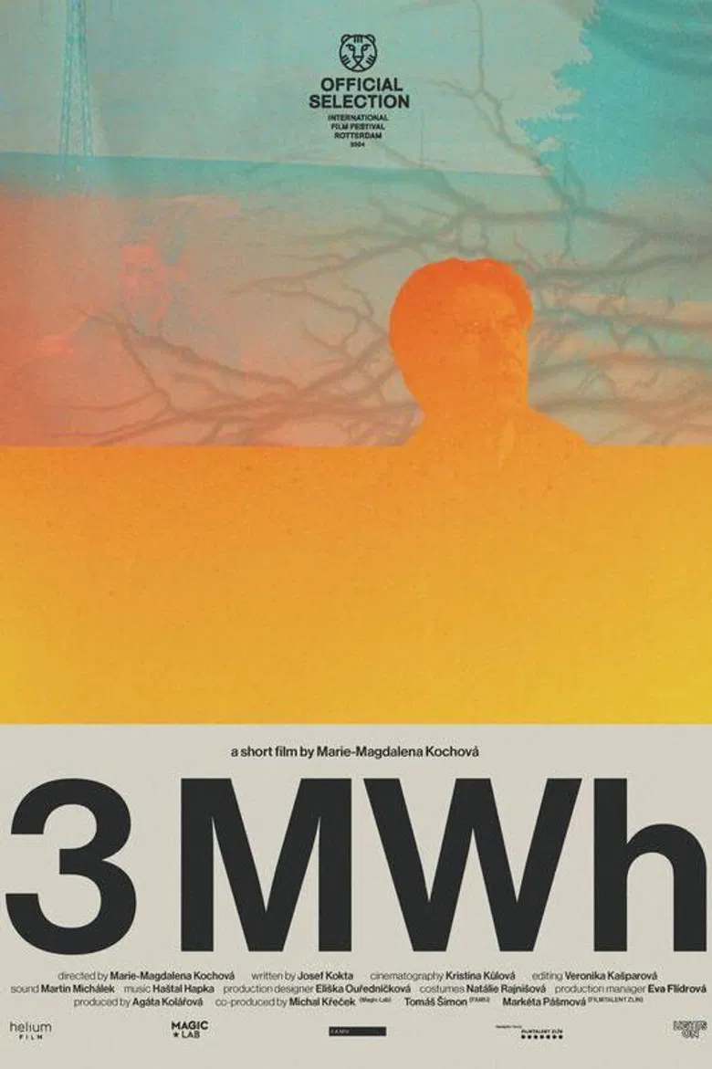 3 MWh poster background