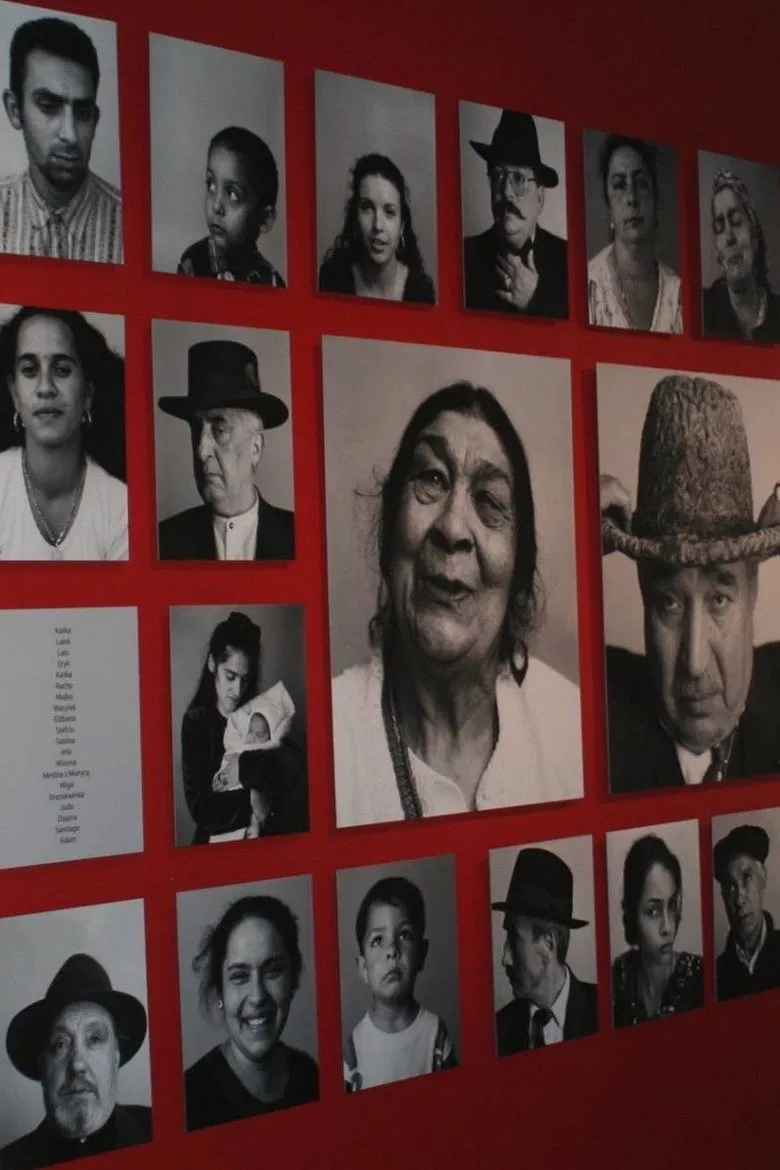 The Last Romani in Auschwitz poster background