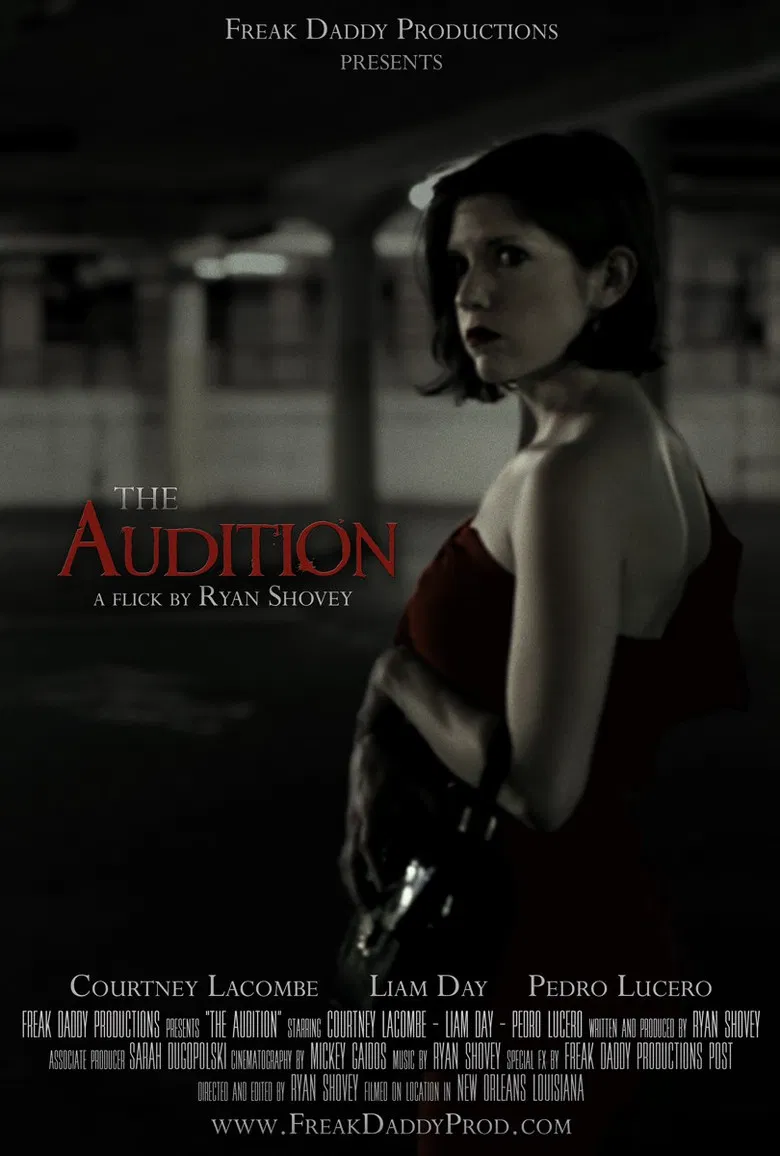 The Audition poster background