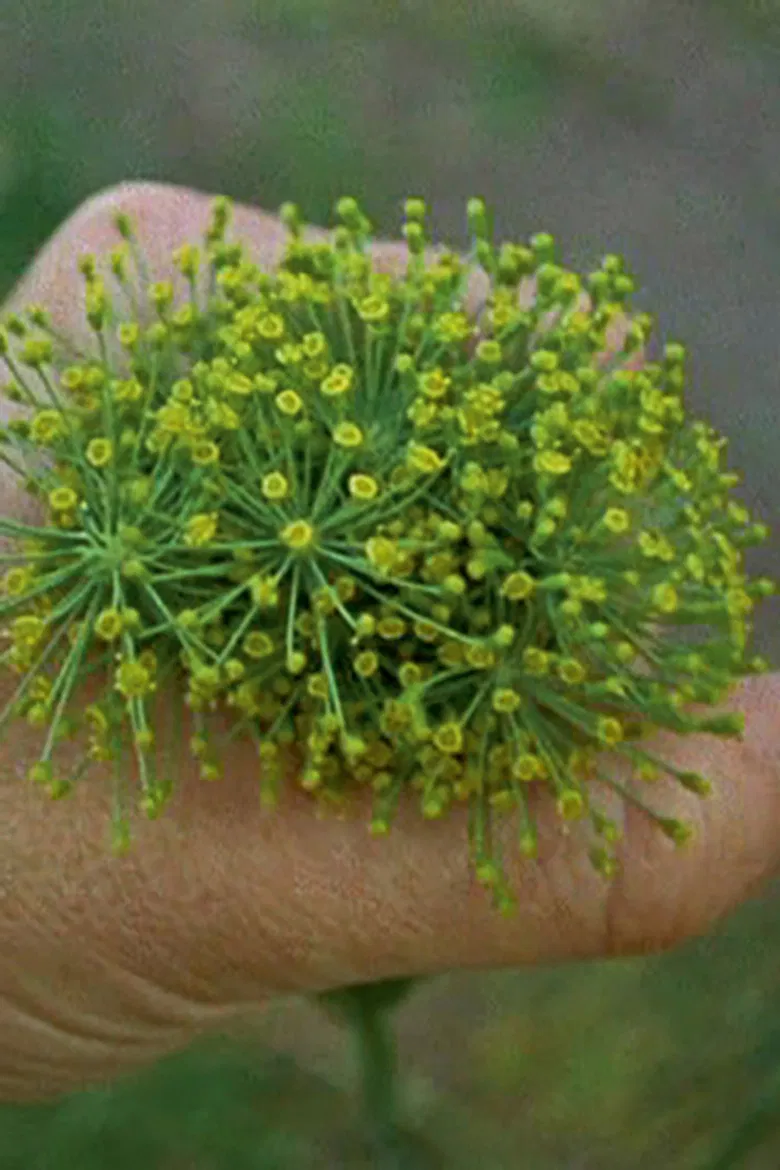 Kalendar poster background