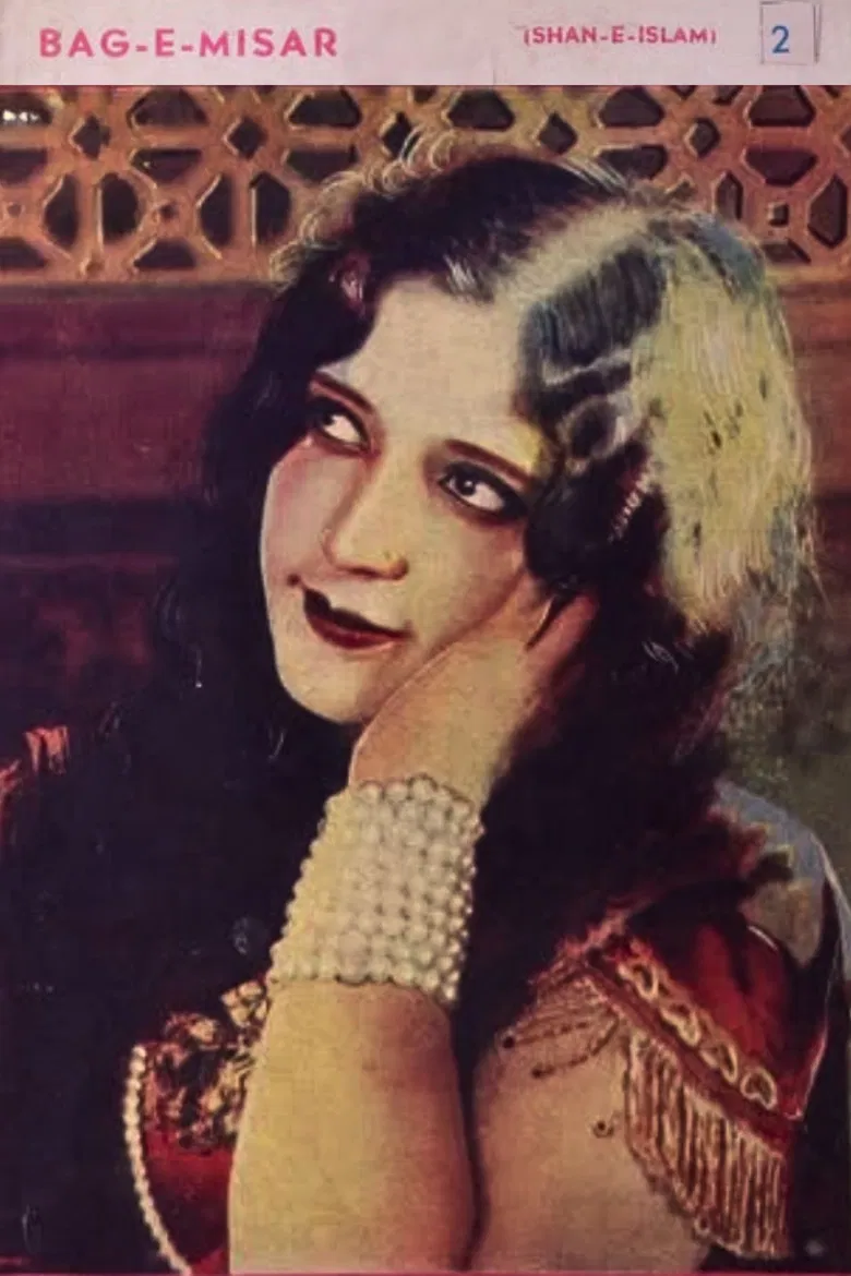 Baag-E-Misar poster background