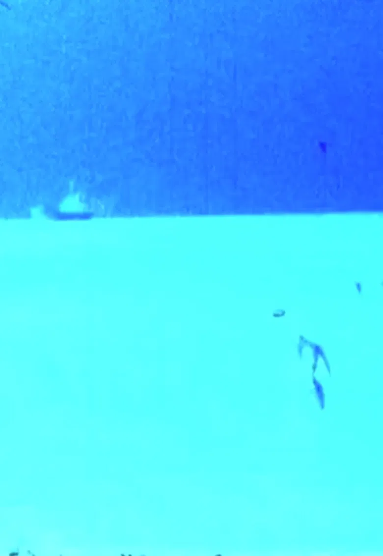 Elli poster background