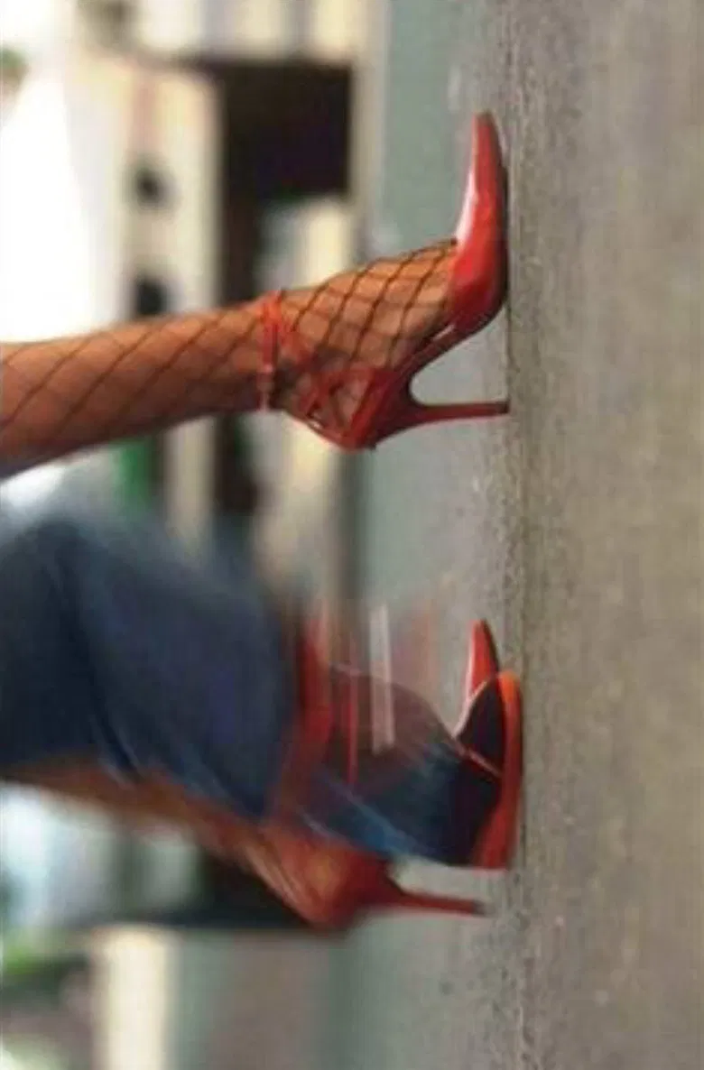 Zapatitos poster background