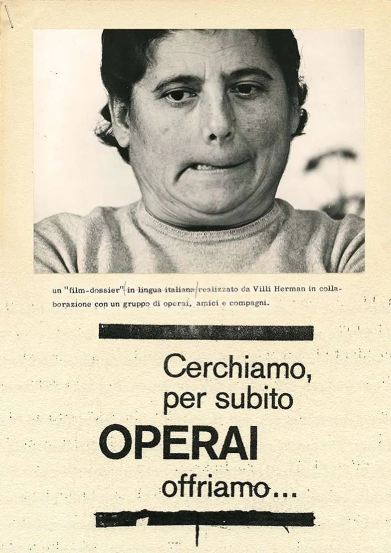 Cerchiamo per subito operai, offriamo... poster background