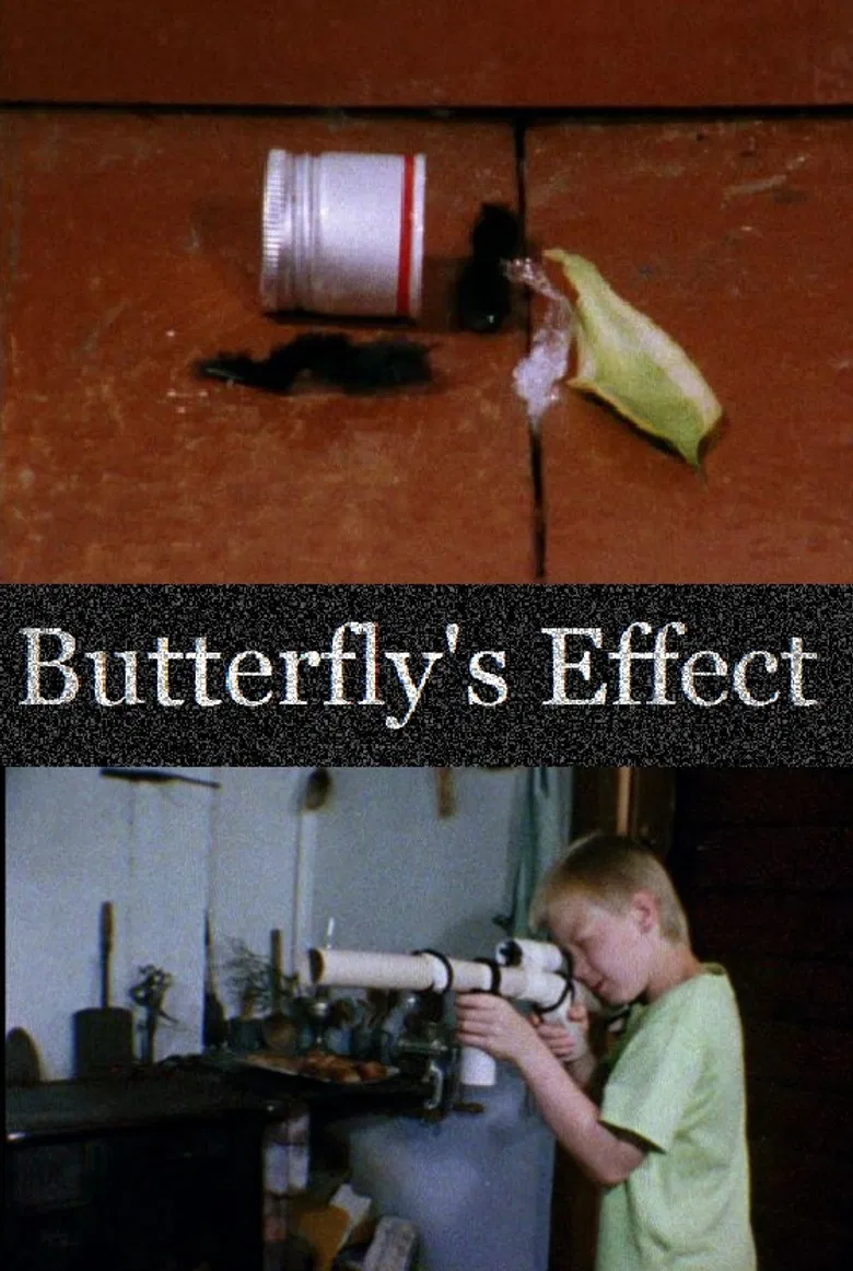 Butterfly's Effect poster background