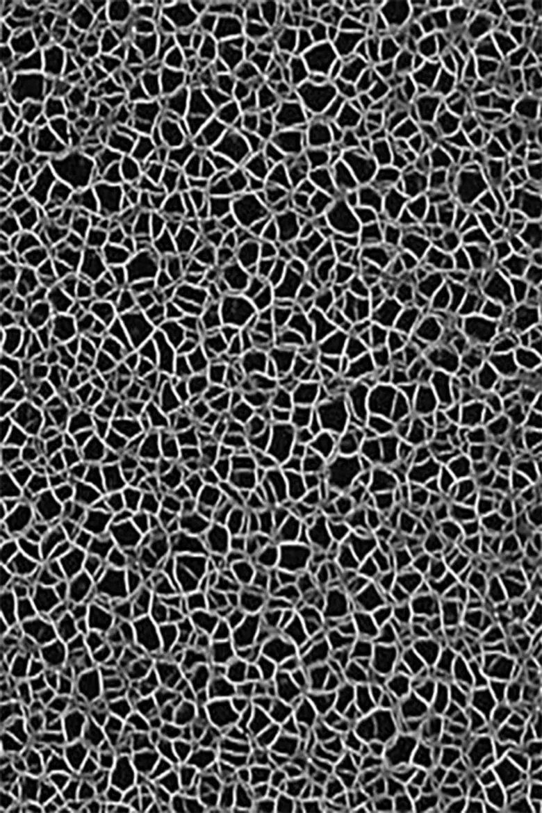 Masses Turbulentes poster background