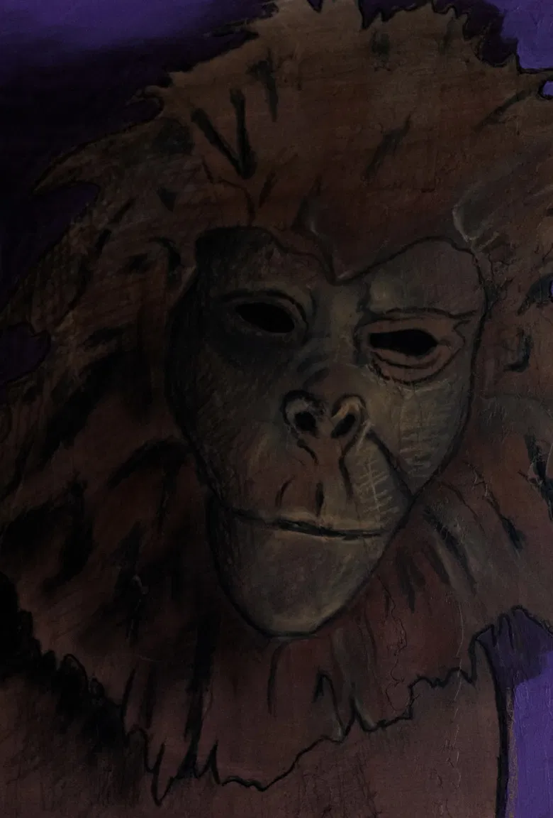 In Spectantis Oculo poster background