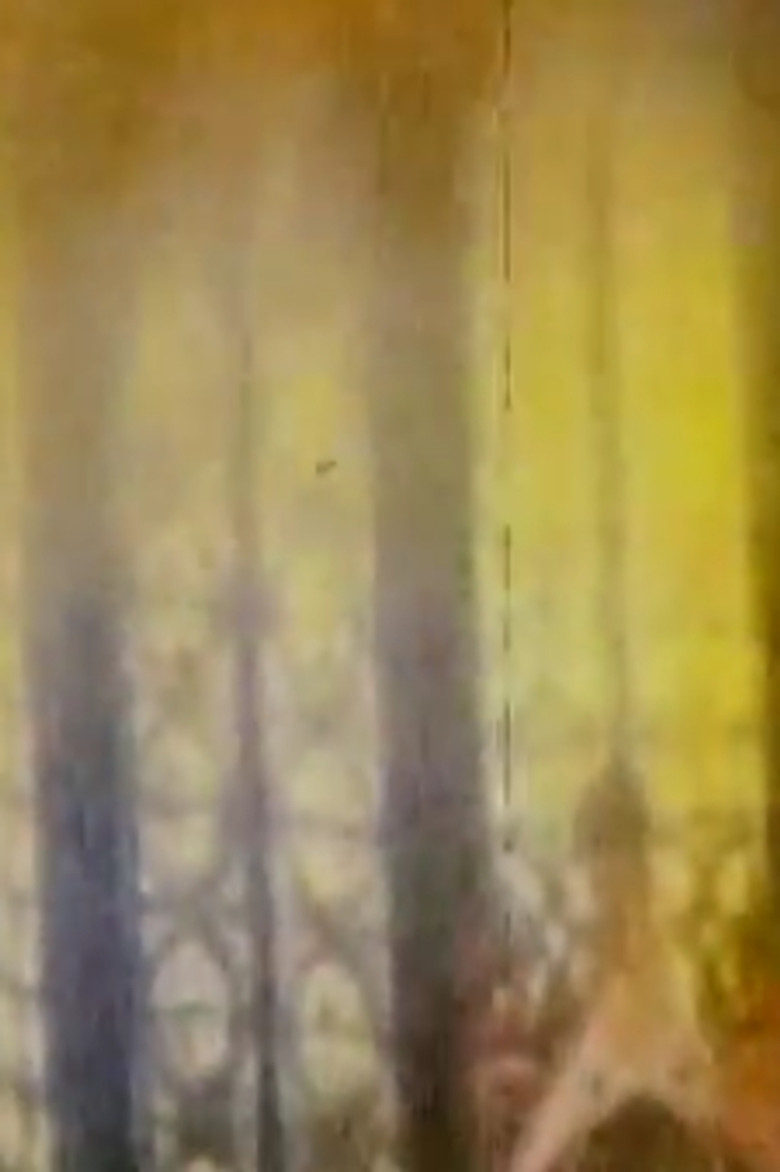 Théocordis poster background