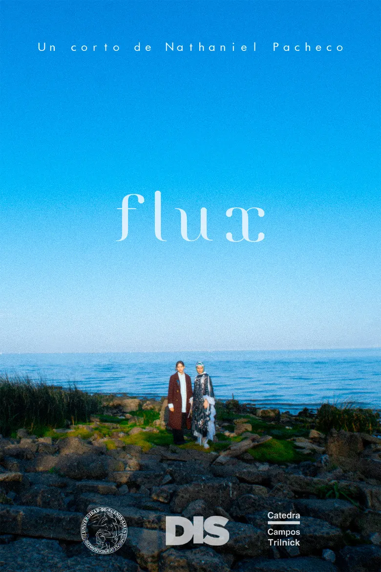 Flux poster background
