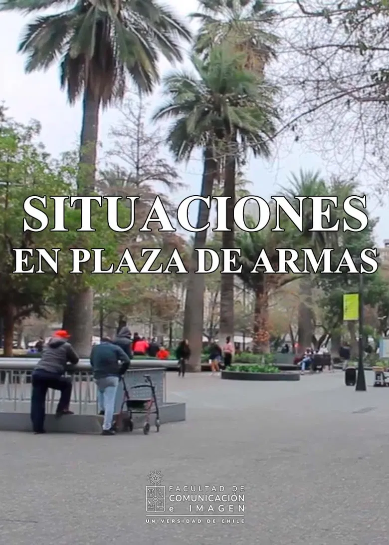 Situations at Plaza de Armas poster background