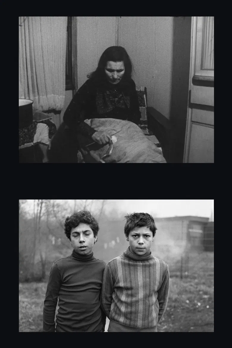 Zigeuner in Duisburg poster background