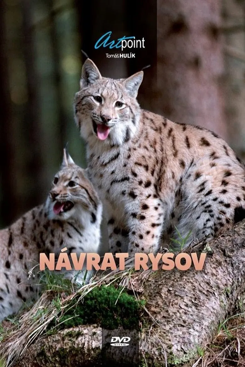 Návrat rysov poster background