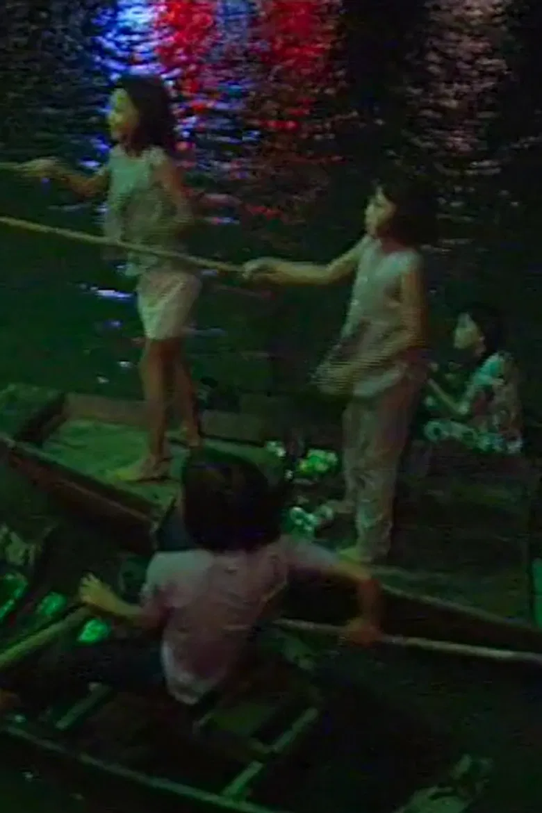 The Lady of Saigon poster background