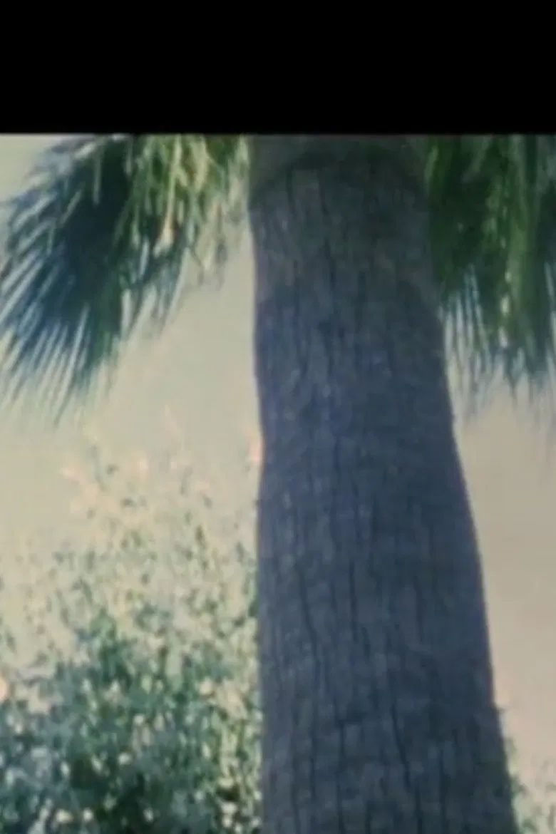 Turkish Delight poster background