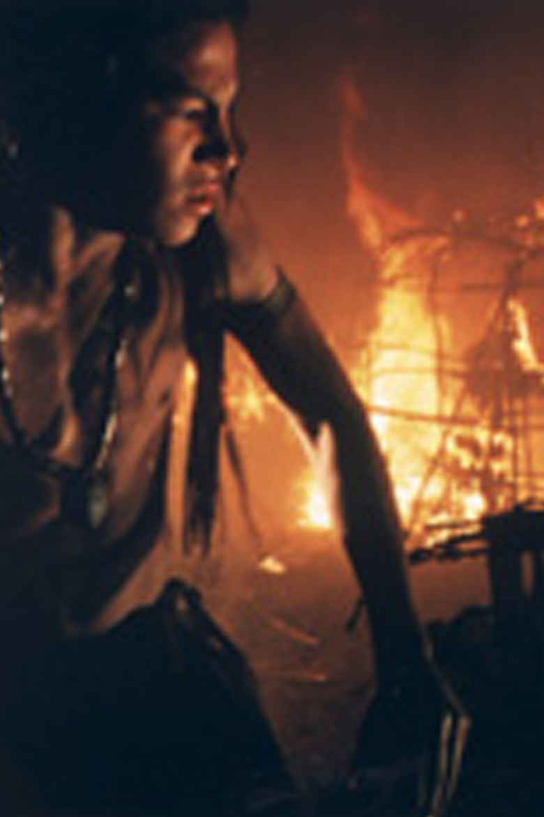 The Witness poster background