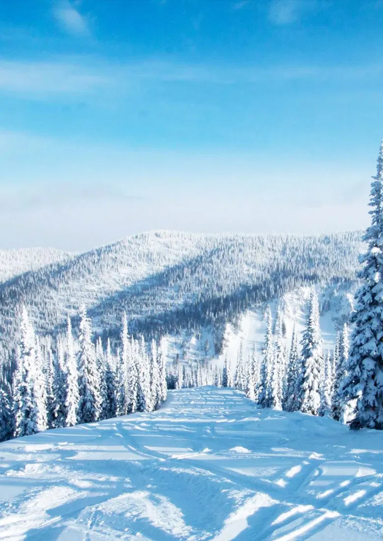 Blush poster background