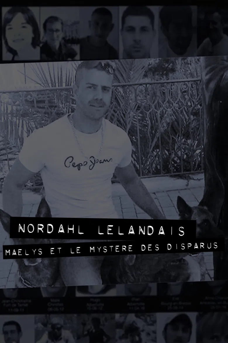 Dans la tête de Nordahl Lelandais poster background