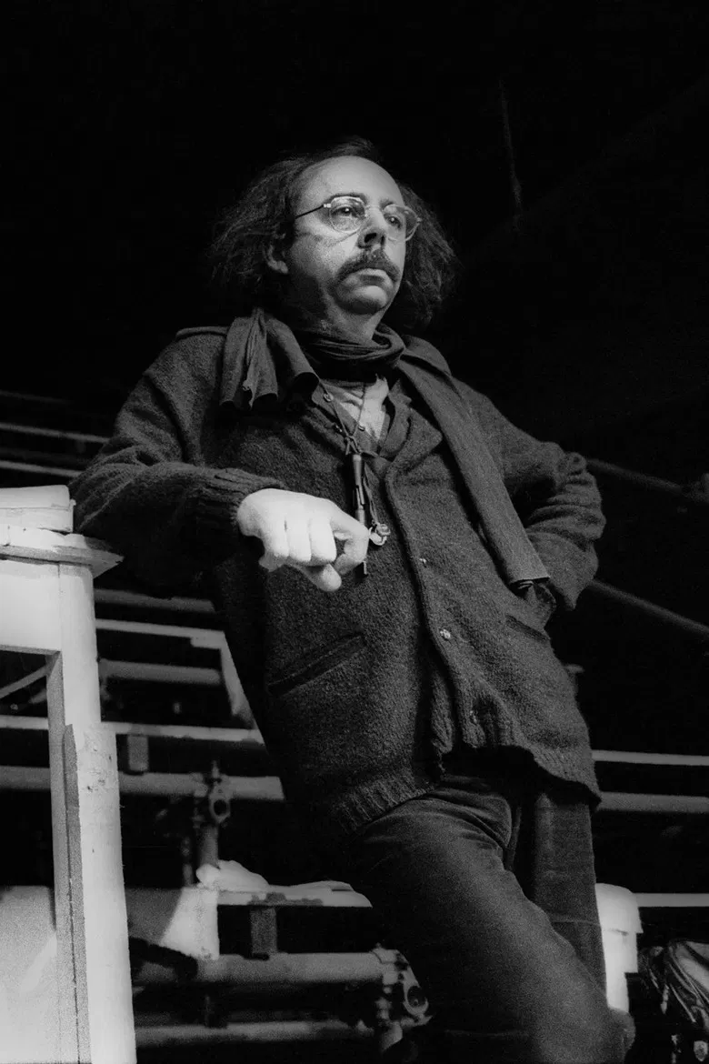 Pavane For A Missing Play poster background