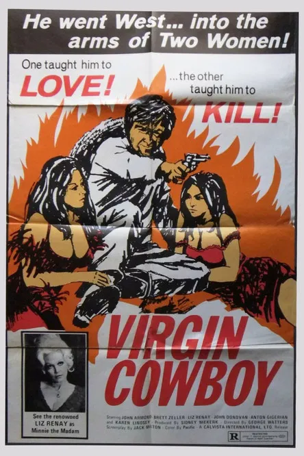 Virgin Cowboy poster background