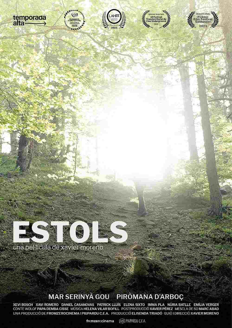 Estols poster background