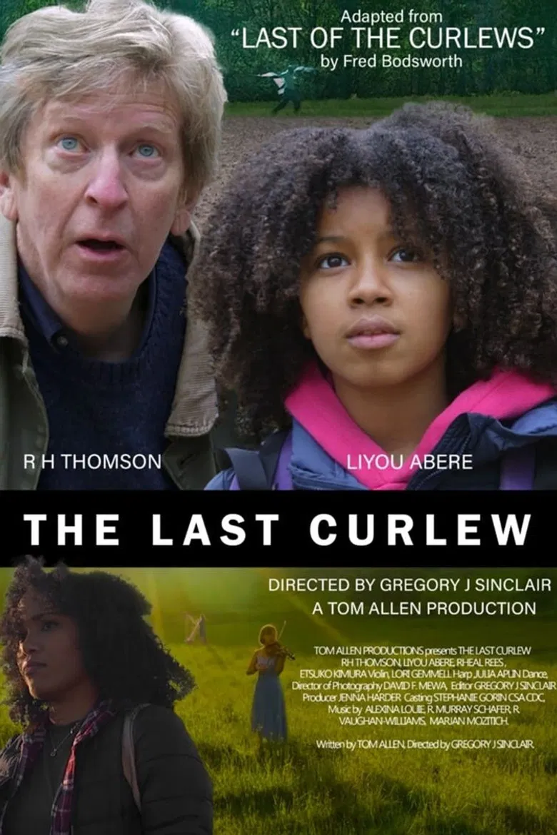 The Last Curlew poster background
