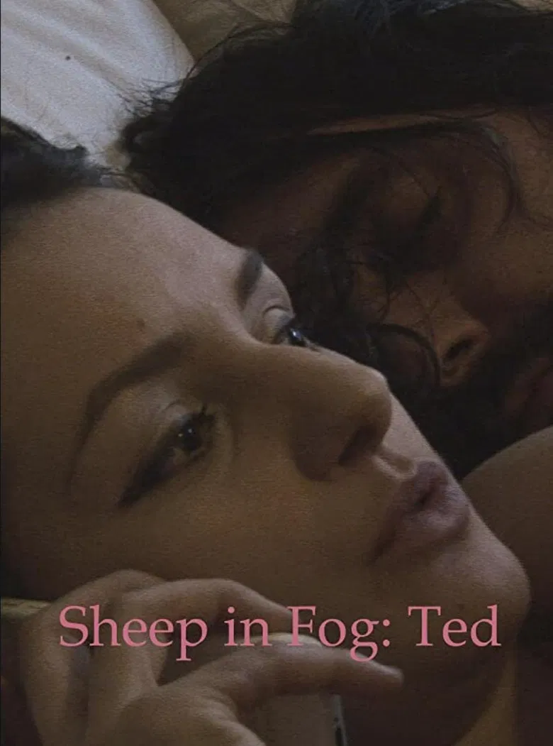 Sheep in Fog poster background