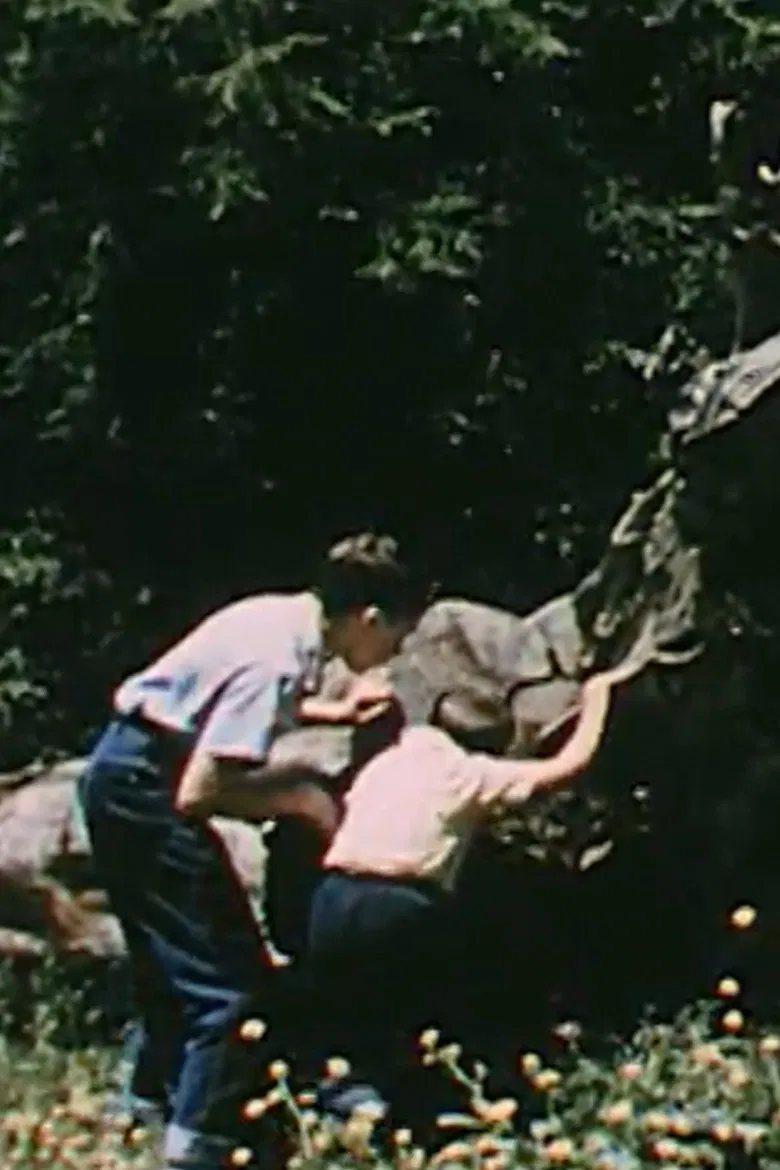 Life On a Dead Tree poster background