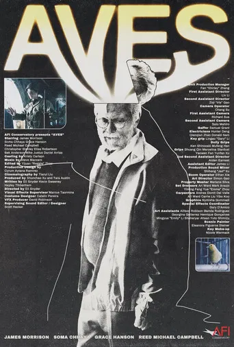 Aves poster background