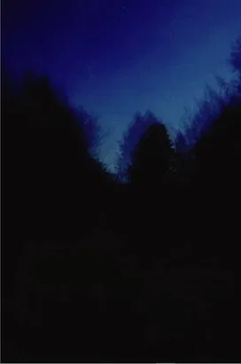 Brouillard #2-12-6 poster background