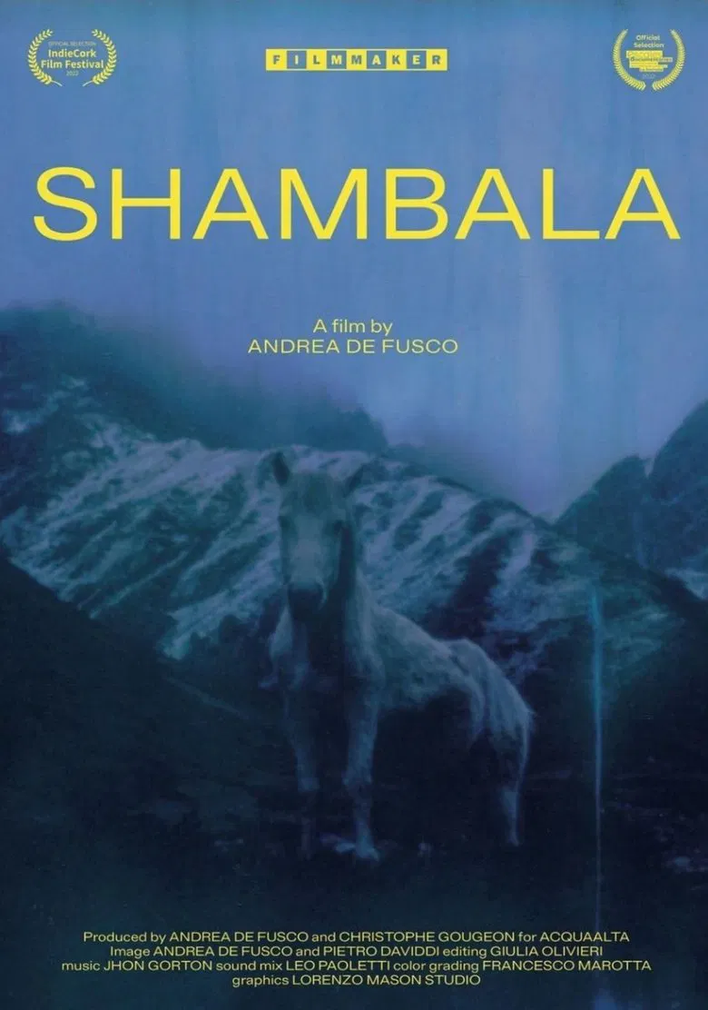 Shambala poster background