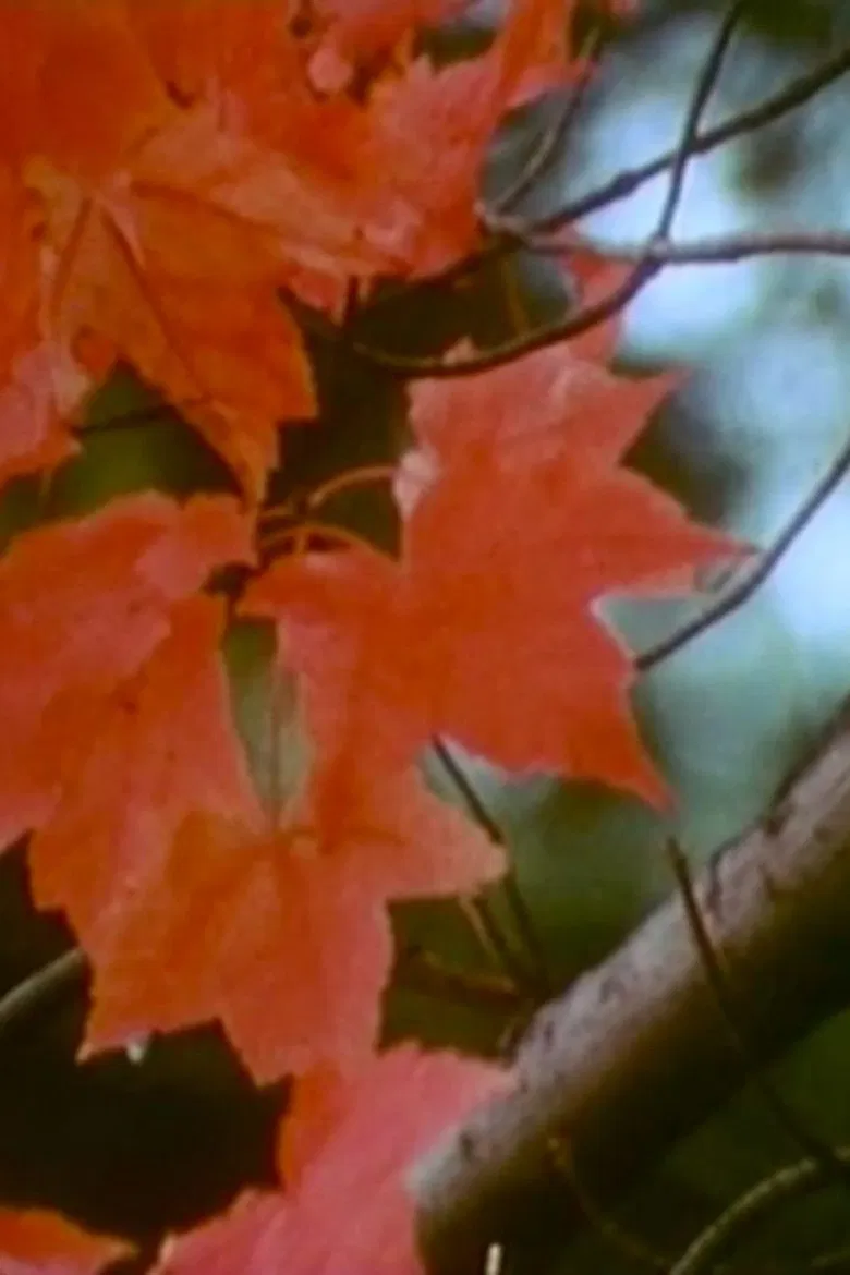 Discovery in a Landscape poster background