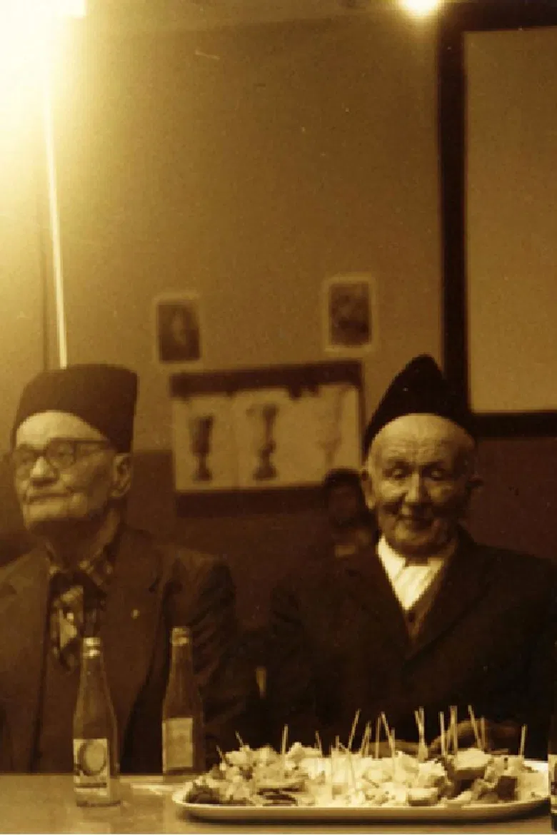 The Illness and Recovery of Buda Brakus poster background